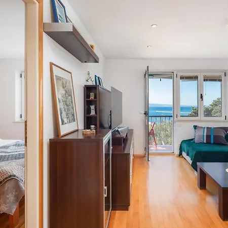 Sunny Vista Apartment *