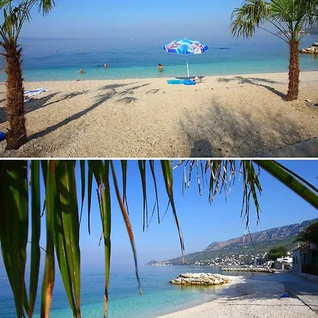 Sunny Vista * Omis